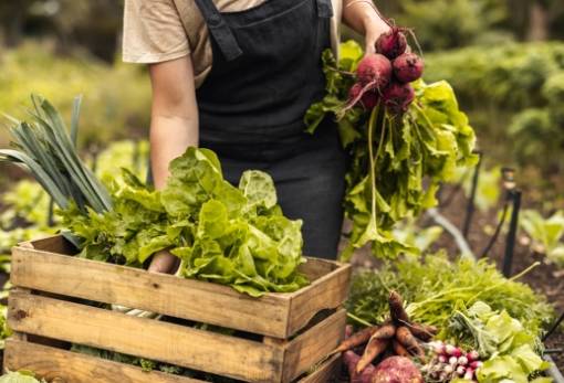 Ξεκίνησαν οι αιτήσεις για τα «Βραβεία βιολογικών προϊόντων της ΕΕ»