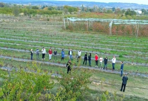 Ξεκίνησαν σήμερα οι εγγραφές στα Αγροτικά ΙΕΚ