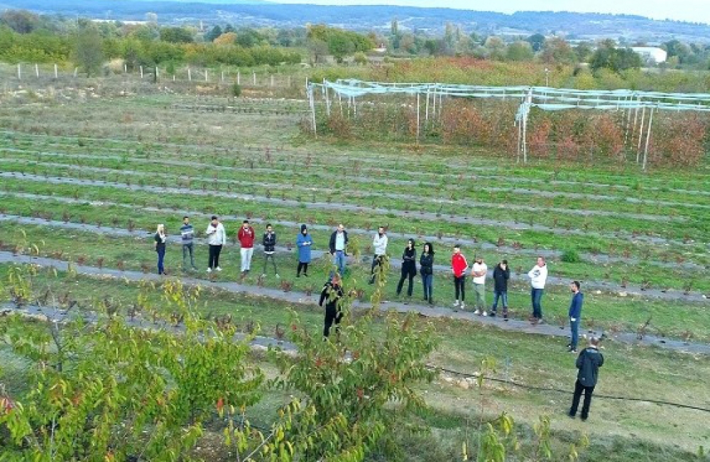 &Xi;&epsilon;&kappa;ί&nu;&eta;&sigma;&alpha;&nu; &sigma;ή&mu;&epsilon;&rho;&alpha; &omicron;&iota; &epsilon;&gamma;&gamma;&rho;&alpha;&phi;έ&sigmaf; &sigma;&tau;&alpha; &Alpha;&gamma;&rho;&omicron;&tau;&iota;&kappa;ά &Iota;&Epsilon;&Kappa;