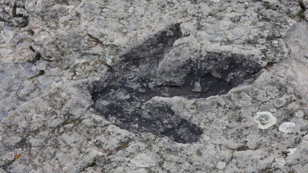 Έ&rho;&epsilon;&upsilon;&nu;&alpha; έ&phi;&epsilon;&rho;&epsilon; &sigma;&tau;&omicron; &phi;&omega;&sigmaf; &mu;ί&alpha; ά&gamma;&nu;&omega;&sigma;&tau;&eta; έ&omega;&sigmaf; &tau;ώ&rho;&alpha; &mu;&alpha;&zeta;&iota;&kappa;ή &epsilon;&xi;&alpha;&phi;ά&nu;&iota;&sigma;&eta; &epsilon;&iota;&delta;ώ&nu; &sigma;&tau;&eta; &Gamma;&eta;