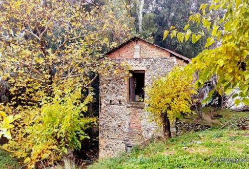 Το δικό σας σχόλιο: Ο ιστορικός αλευρόμυλος «Φιλιππόπουλου»