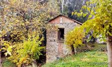 &Tau;&omicron; &delta;&iota;&kappa;ό &sigma;&alpha;&sigmaf; &sigma;&chi;ό&lambda;&iota;&omicron;: &Omicron; &iota;&sigma;&tau;&omicron;&rho;&iota;&kappa;ό&sigmaf; &alpha;&lambda;&epsilon;&upsilon;&rho;ό&mu;&upsilon;&lambda;&omicron;&sigmaf; &laquo;&Phi;&iota;&lambda;&iota;&pi;&pi;ό&pi;&omicron;&upsilon;&lambda;&omicron;&upsilon;&raquo;