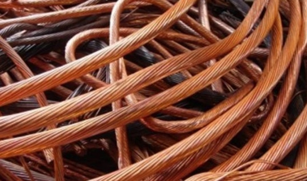 &Alpha;&delta;ί&sigma;&tau;&alpha;&kappa;&tau;&omicron;&iota; &kappa;&upsilon;&nu;&eta;&gamma;&omicron;ί &chi;&alpha;&lambda;&kappa;&omicron;ύ &rho;ή&mu;&alpha;&xi;&alpha;&nu; &pi;&epsilon;&rho;&iota;&omicron;&chi;έ&sigmaf; &alpha;&pi;ό Ά&gamma;&iota;&omicron; &Iota;&omega;ά&nu;&nu;&eta; &omega;&sigmaf; &Phi;ά&rho;&iota;&delta;&alpha;