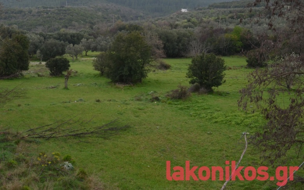 &Kappa;&alpha;&tau;&alpha;&kappa;&upsilon;&rho;ώ&nu;&epsilon;&tau;&alpha;&iota; &eta; &sigma;ύ&mu;&beta;&alpha;&sigma;&eta; &sigma;&tau;&omicron;&nu; &alpha;&nu;ά&delta;&omicron;&chi;&omicron; &gamma;&iota;&alpha; &tau;&omicron; &Phi;&rho;ά&gamma;&mu;&alpha; &Kappa;&epsilon;&lambda;&epsilon;&phi;ί&nu;&alpha;&sigmaf;