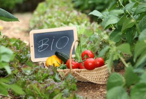 Βιολογικές καλλιέργειες: Έως τις 26 Μαρτίου η υποβολή παραστατικών