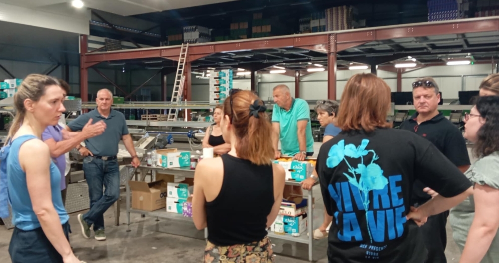 &Eta; &Sigma;&tau;&epsilon;&phi;&alpha;&nu;&iota;ά &kappa;&alpha;&iota; &eta; &laquo;&Gamma;&iota;&omicron;&rho;&tau;ή &Pi;&omicron;&rho;&tau;&omicron;&kappa;&alpha;&lambda;&iota;&omicron;ύ&raquo; &alpha;&nu;&omicron;ί&gamma;&omicron;&upsilon;&nu; &epsilon;&xi;&alpha;&gamma;&omega;&gamma;&iota;&kappa;&omicron;ύ&sigmaf; &delta;&rho;ό&mu;&omicron;&upsilon;&sigmaf;