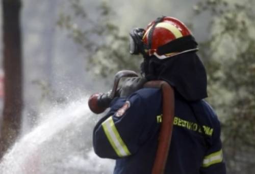 Φωτιά σε αγροτική έκταση στις Αμύκλες