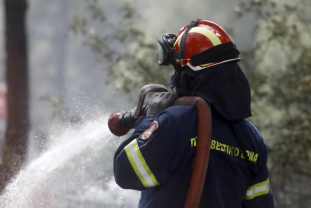 &Phi;&omega;&tau;&iota;ά &sigma;&epsilon; &alpha;&gamma;&rho;&omicron;&tau;&iota;&kappa;ή έ&kappa;&tau;&alpha;&sigma;&eta; &sigma;&tau;&iota;&sigmaf; &Alpha;&mu;ύ&kappa;&lambda;&epsilon;&sigmaf;