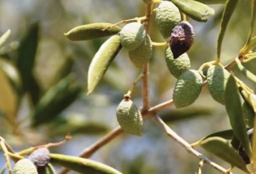 Στα «σκαριά» το Κέντρο Παρακολούθησης Δεδομένων Κλιματικής Αλλαγής