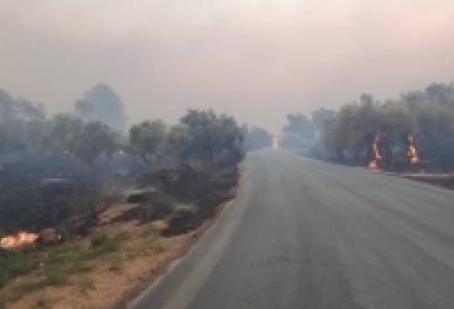Θ. Βερούτης: «Μπαίνουμε στη νύχτα πολύ καλύτερα από χθες»