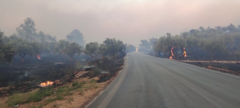 &Theta;. &Beta;&epsilon;&rho;&omicron;ύ&tau;&eta;&sigmaf;: &laquo;&Mu;&pi;&alpha;ί&nu;&omicron;&upsilon;&mu;&epsilon; &sigma;&tau;&eta; &nu;ύ&chi;&tau;&alpha; &pi;&omicron;&lambda;ύ &kappa;&alpha;&lambda;ύ&tau;&epsilon;&rho;&alpha; &alpha;&pi;ό &chi;&theta;&epsilon;&sigmaf;&raquo;