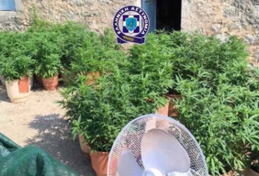 Ανατολική Μάνη: Φυτεία και πολεμικός εξοπλισμός στο σπίτι 70χρονου