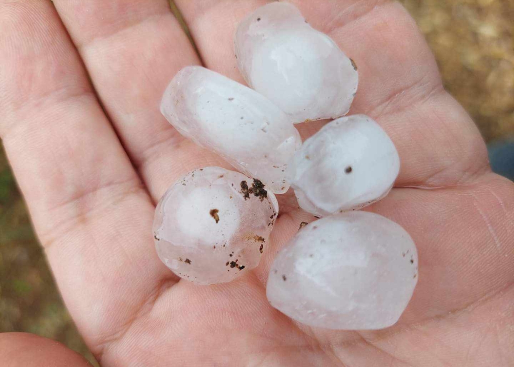 &Kappa;&alpha;&tau;&alpha;&sigma;&tau;&rho;&omicron;&phi;&iota;&kappa;ό &chi;&alpha;&lambda;ά&zeta;&iota; &sigma;&tau;&eta; &nu;&omicron;&tau;&iota;&omicron;&alpha;&nu;&alpha;&tau;&omicron;&lambda;&iota;&kappa;ή &Lambda;&alpha;&kappa;&omega;&nu;ί&alpha;