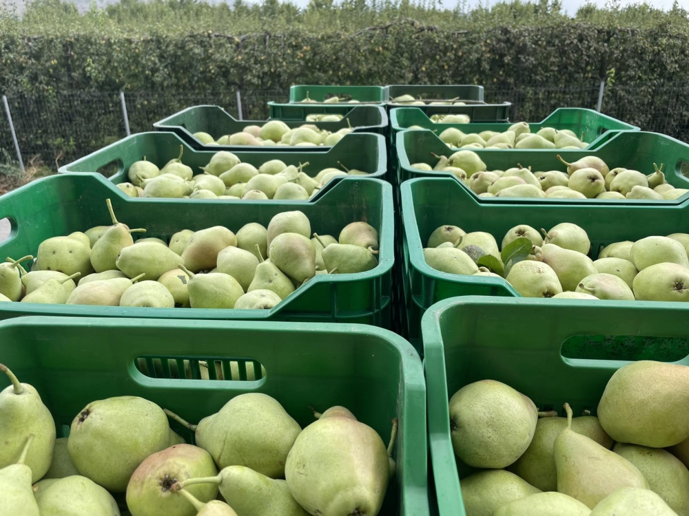 &Sigma;&tau;ή&rho;&iota;&xi;&eta; &sigma;&tau;&omicron;&upsilon;&sigmaf; &Lambda;ά&kappa;&omega;&nu;&epsilon;&sigmaf; &alpha;&gamma;&rho;ό&tau;&epsilon;&sigmaf; &mu;&epsilon; &tau;&omicron; &nu;έ&omicron; &Mu;έ&tau;&rho;&omicron; 23