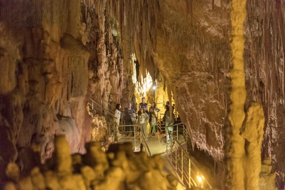 &Sigma;&upsilon;&nu;&epsilon;&chi;ί&zeta;&omicron;&nu;&tau;&alpha;&iota; &omicron;&iota; &xi;&epsilon;&nu;&alpha;&gamma;ή&sigma;&epsilon;&iota;&sigmaf; &sigma;&tau;&omicron; &Sigma;&pi;ή&lambda;&alpha;&iota;&omicron; &Kappa;&alpha;&sigma;&tau;&alpha;&nu;&iota;ά&sigmaf;