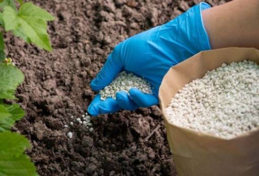 Νέος φόρος άνθρακα 6% σε λιπάσματα και πρώτες ύλες από το 2026