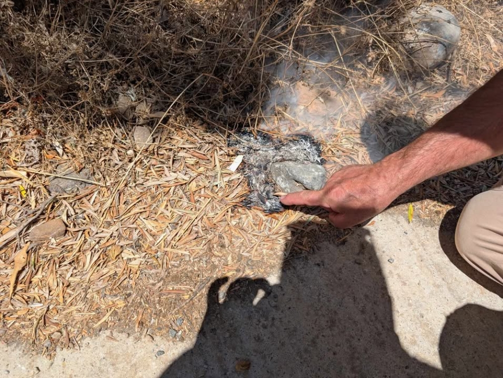 &Kappa;&alpha;&lambda;&omicron;&kappa;&alpha;ί&rho;&iota; &mu;&epsilon; &alpha;&nu;&alpha;&mu;&mu;έ&nu;&alpha; &tau;&sigma;&iota;&gamma;ά&rho;&alpha; &kappa;&alpha;&iota; &xi;&epsilon;&chi;&alpha;&sigma;&mu;έ&nu;&alpha; &xi;&epsilon;&rho;ό&chi;&omicron;&rho;&tau;&alpha;