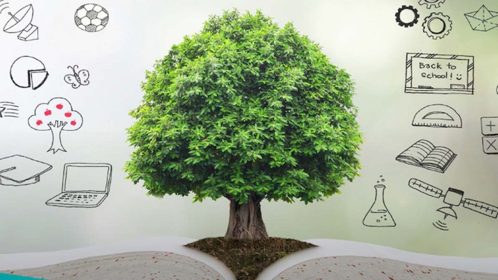 &Sigma;&upsilon;&nu;έ&delta;&rho;&iota;&omicron; &gamma;&iota;&alpha; &tau;&eta; &lambda;ή&xi;&eta; &tau;&omicron;&upsilon; &pi;&rho;&omicron;&gamma;&rho;ά&mu;&mu;&alpha;&tau;&omicron;&sigmaf; Erasmus+