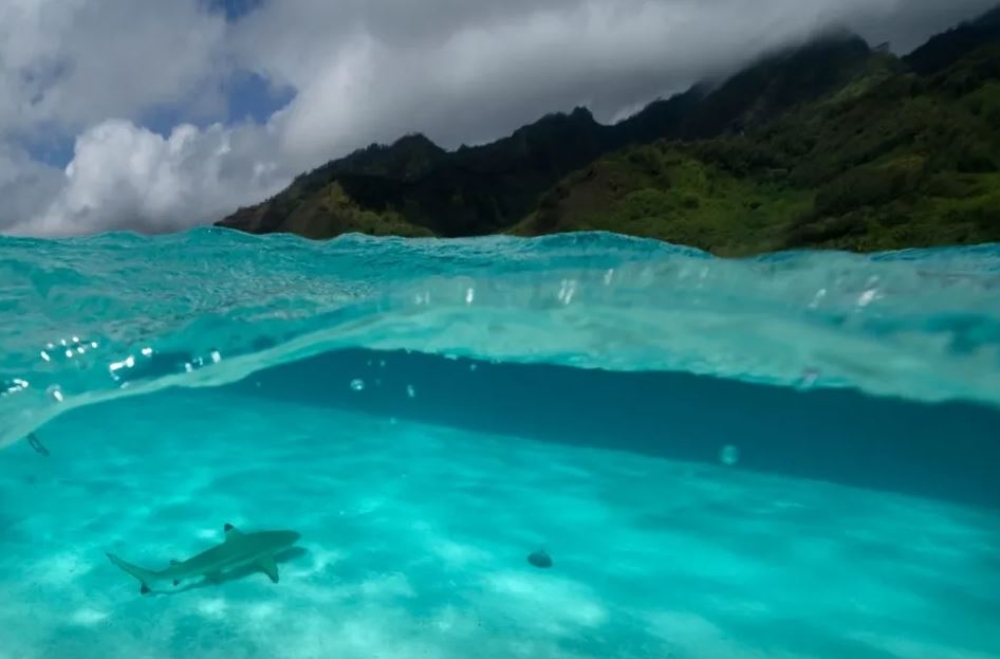 7 &mu;&iota;&kappa;&rho;έ&sigmaf; &nu;ί&kappa;&epsilon;&sigmaf; &gamma;&iota;&alpha; &tau;&omicron; &pi;&epsilon;&rho;&iota;&beta;ά&lambda;&lambda;&omicron;&nu; &kappa;&alpha;&iota; &tau;&omicron; &kappa;&lambda;ί&mu;&alpha; &pi;&omicron;&upsilon; &sigma;&eta;&mu;&epsilon;&iota;ώ&theta;&eta;&kappa;&alpha;&nu; &tau;&omicron; 2025