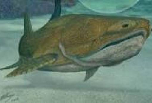 Τι μαγείρευαν στη φωτιά 780.000 χρόνια πριν;