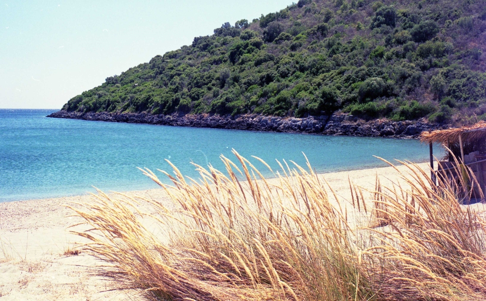 &Tau;&omicron; &delta;&iota;&kappa;ό &sigma;&alpha;&sigmaf; &sigma;&chi;ό&lambda;&iota;&omicron;: &Alpha;&kappa;&tau;ή &Pi;&epsilon;&tau;&alpha;&lambda;έ&alpha;: &Tau;&omicron; &delta;&iota;&alpha;&mu;ά&nu;&tau;&iota; &tau;&omicron;&upsilon; &Lambda;&alpha;&kappa;&omega;&nu;&iota;&kappa;&omicron;ύ!