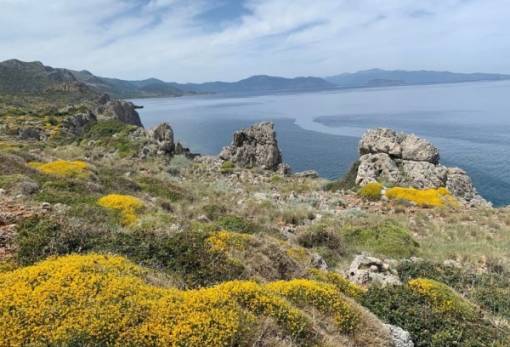 Περίπατος σε Ιστορία-Φύση-Πολιτισμό  στον Μαλέα με τους ΕΟΣ Μολάων και Σπάρτης