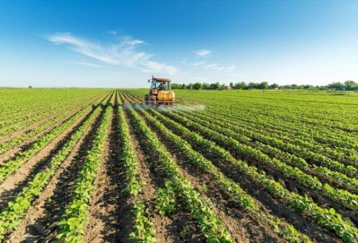 Αγρότες: Αυξήσεις στις εισφορές από το 2025