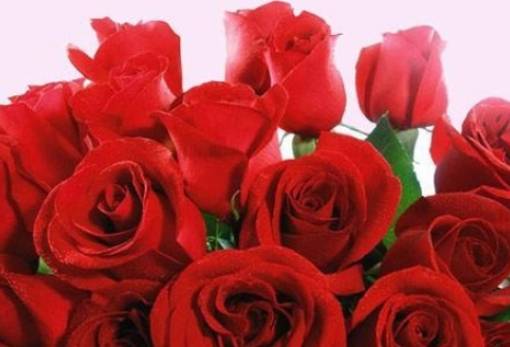 Μηνύματα Βακαλόπουλου και Τζανετέα για την Ημέρα της Γυναίκας