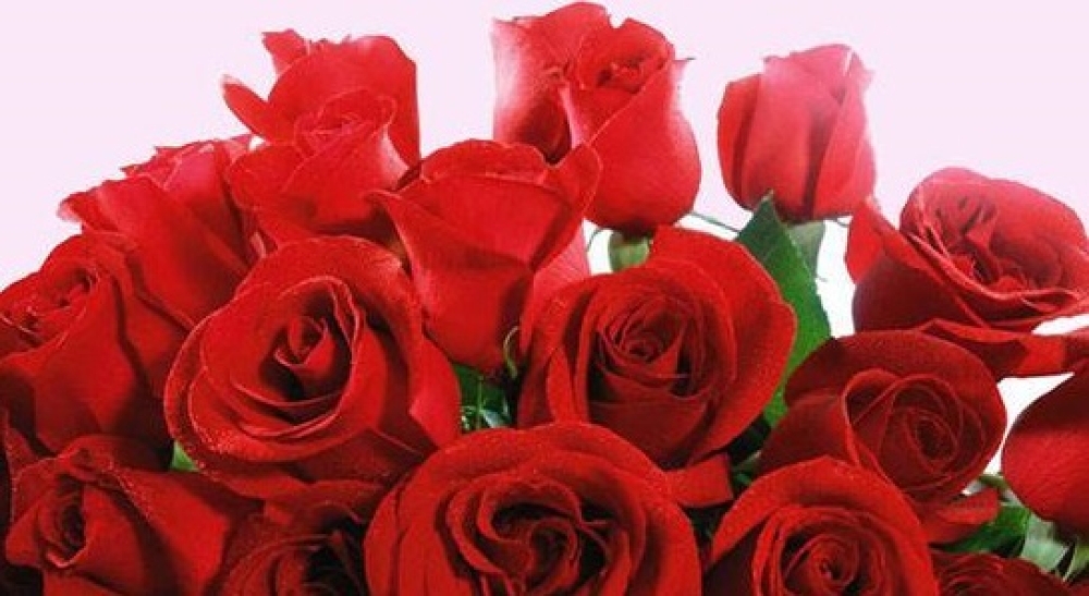 &Mu;&eta;&nu;ύ&mu;&alpha;&tau;&alpha; &Beta;&alpha;&kappa;&alpha;&lambda;ό&pi;&omicron;&upsilon;&lambda;&omicron;&upsilon; &kappa;&alpha;&iota; &Tau;&zeta;&alpha;&nu;&epsilon;&tau;έ&alpha; &gamma;&iota;&alpha; &tau;&eta;&nu; &Eta;&mu;έ&rho;&alpha; &tau;&eta;&sigmaf; &Gamma;&upsilon;&nu;&alpha;ί&kappa;&alpha;&sigmaf;