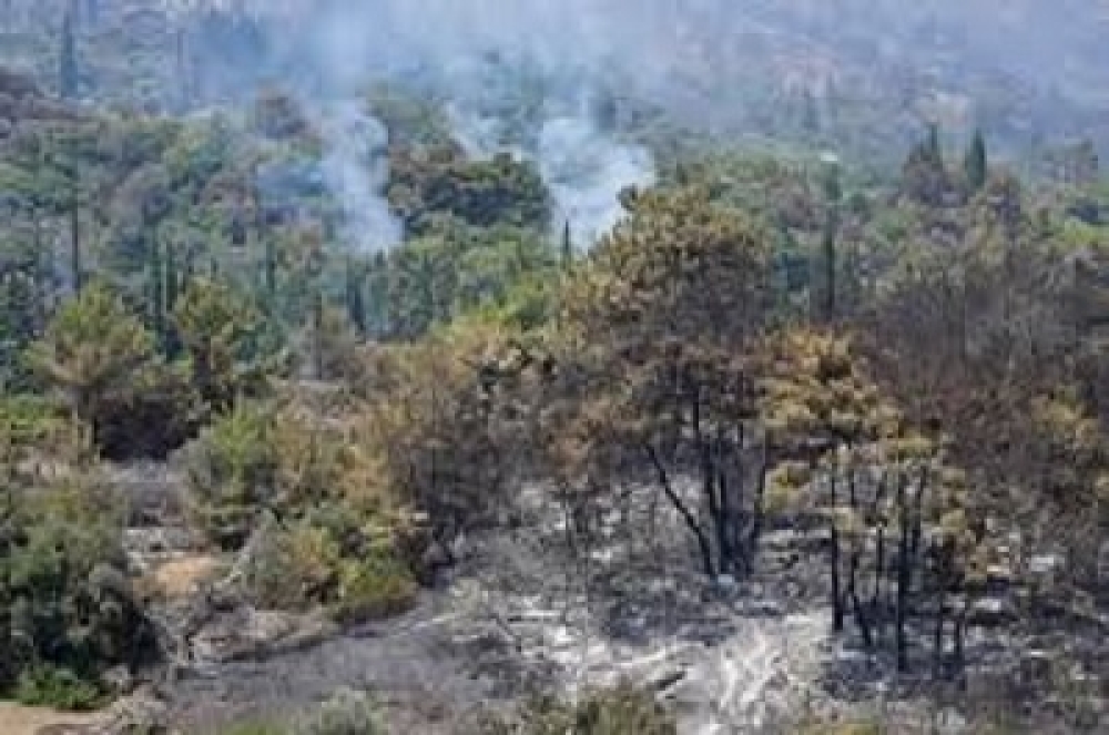 &Phi;&omega;&tau;&iota;ά &sigma;&epsilon; &xi;&epsilon;&rho;ό&chi;&omicron;&rho;&tau;&alpha;&hellip; &laquo;έ&kappa;&alpha;&psi;&epsilon;&raquo; ά&nu;&delta;&rho;&alpha; &sigma;&epsilon; &pi;&epsilon;&rho;&iota;&omicron;&chi;ή &tau;&eta;&sigmaf; &Sigma;&pi;ά&rho;&tau;&eta;&sigmaf;