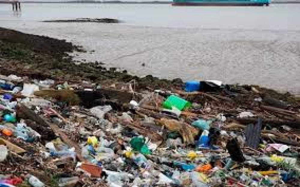 Έ&nu;&zeta;&upsilon;&mu;&omicron; &pi;&omicron;&upsilon; &laquo;&tau;&rho;ώ&epsilon;&iota;&raquo; &pi;&lambda;&alpha;&sigma;&tau;&iota;&kappa;ό, &epsilon;&lambda;&pi;ί&delta;&alpha; &gamma;&iota;&alpha; &tau;&omicron; &pi;&epsilon;&rho;&iota;&beta;ά&lambda;&lambda;&omicron;&nu;