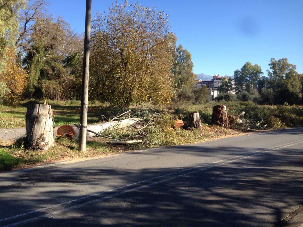 &Gamma;&iota;&alpha;&tau;ί &delta;&epsilon;&nu; έ&kappa;&omicron;&psi;&epsilon; &tau;&alpha; &beta;ά&tau;&alpha; &alpha;&nu;&tau;ί &nu;&alpha; &theta;&alpha;&nu;&alpha;&tau;ώ&sigma;&epsilon;&iota; &epsilon;&upsilon;&kappa;&alpha;&lambda;ύ&pi;&tau;&omicron;&upsilon;&sigmaf; &omicron; &epsilon;&rho;&gamma;&omicron;&lambda;ά&beta;&omicron;&sigmaf; &tau;&omicron;&upsilon; Ά&lambda;&sigma;&omicron;&upsilon;&sigmaf;;