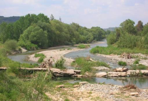 Ο Ευρώτας στο προσκήνιο: Το έργο CASTOR για την ενίσχυση του οικοσυστήματος