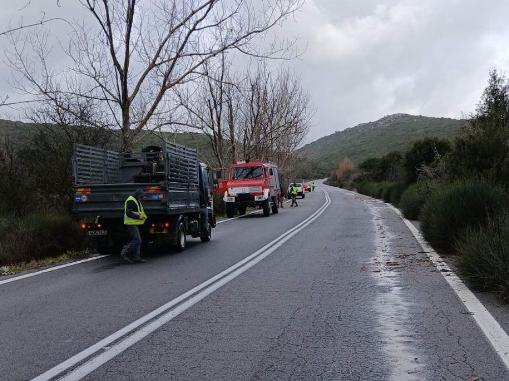 Έ&pi;&epsilon;&sigma;&alpha;&nu; &delta;έ&nu;&tau;&rho;&alpha; &sigma;&tau;&eta;&nu; &Epsilon;&Omicron; &Sigma;&pi;ά&rho;&tau;&eta;&sigmaf;-&Tau;&rho;ί&pi;&omicron;&lambda;&eta;&sigmaf; &lambda;ό&gamma;&omega; &iota;&sigma;&chi;&upsilon;&rho;ώ&nu; &alpha;&nu;έ&mu;&omega;&nu;