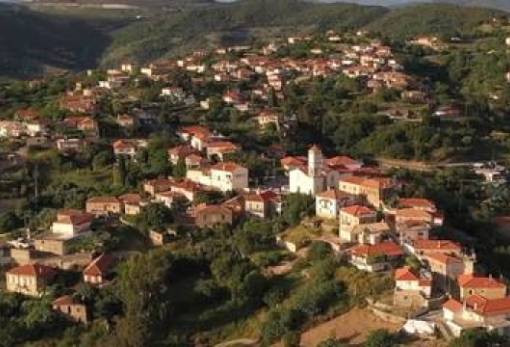 Πανηγύρι της Αγίας Τριάδος στη Σελλασία