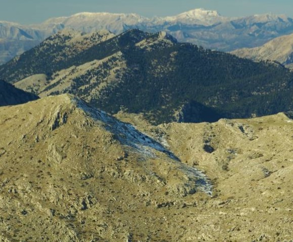 &Omicron;&rho;&epsilon;&iota;&beta;&alpha;&sigma;ί&alpha; &sigma;&tau;&omicron;&nu; &Omicron;&lambda;ί&gamma;&upsilon;&rho;&tau;&omicron; &mu;&epsilon; &tau;&omicron;&nu; &Epsilon;&Omicron;&Sigma; &Sigma;&pi;ά&rho;&tau;&eta;&sigmaf;