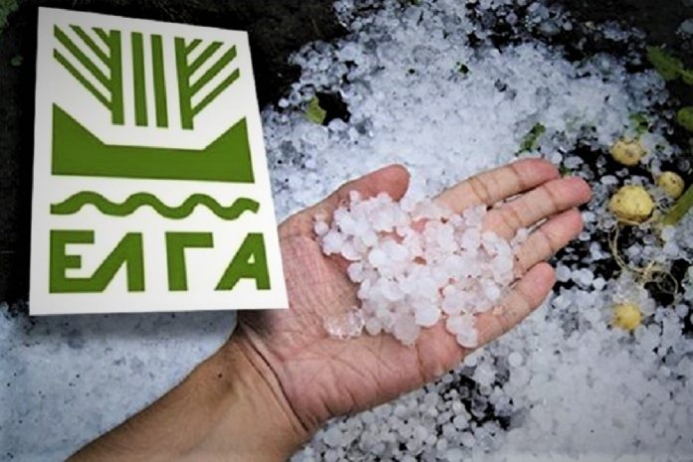 &Delta;&eta;&lambda;ώ&sigma;&epsilon;&iota;&sigmaf; &zeta;&eta;&mu;&iota;ά&sigmaf; &sigma;&epsilon; &pi;&epsilon;&rho;&iota;&omicron;&chi;έ&sigmaf; &tau;&omicron;&upsilon; &Delta;. &Mu;&omicron;&nu;&epsilon;&mu;&beta;&alpha;&sigma;ί&alpha;&sigmaf;