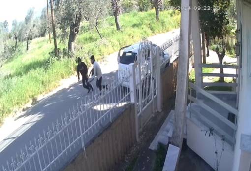 Πες αλεύρι: Ο Λυμπέρης σε γυρεύει σε Τραπεζοντή κι Αμύκλες