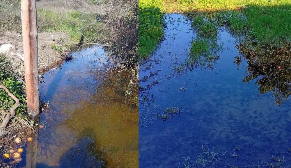 &Kappa;&rho;&alpha;&tau;ά&epsilon;&iota; &mu;ή&nu;&alpha; &kappa;&alpha;&iota; &beta;ά&lambda;&epsilon; &eta;&hellip; &pi;&lambda;&eta;&mu;&mu;ύ&rho;&alpha; &sigma;&tau;&omicron; &Kappa;&epsilon;&phi;&alpha;&lambda;ά&rho;&iota; (&Phi;&Omega;&Tau;&Omicron;)