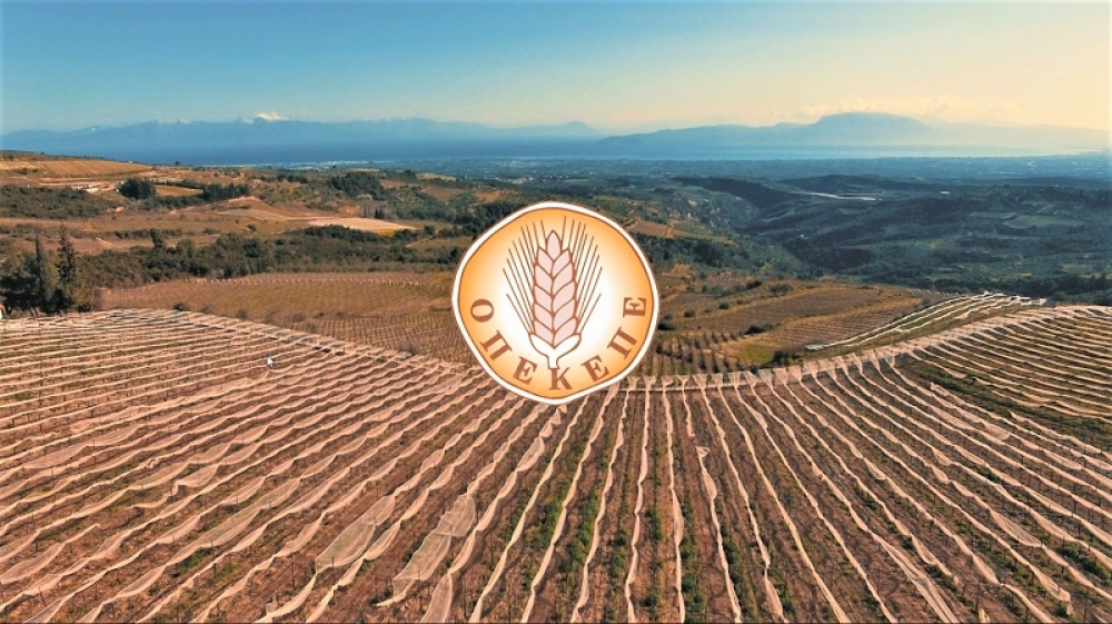 &Omicron;&Pi;&Epsilon;&Kappa;&Epsilon;&Pi;&Epsilon;: &Epsilon;&nu;&epsilon;&rho;&gamma;έ&sigmaf; &omicron;&iota; &epsilon;&phi;&alpha;&rho;&mu;&omicron;&gamma;έ&sigmaf; &kappa;&alpha;&tau;&alpha;&chi;ώ&rho;&eta;&sigma;&eta;&sigmaf; &gamma;&iota;&alpha; &tau;&iota;&sigmaf; &sigma;&upsilon;&nu;&delta;&epsilon;&delta;&epsilon;&mu;έ&nu;&epsilon;&sigmaf;