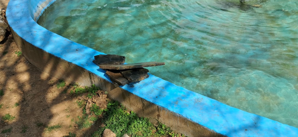 &Phi;&theta;&omicron;&rho;έ&sigmaf; &sigma;&tau;&omicron; &Pi;ά&rho;&kappa;&omicron; &Omicron;&Tau;&Epsilon; &sigma;&tau;&eta; &Sigma;&pi;ά&rho;&tau;&eta;: &Xi;&eta;&lambda;ώ&theta;&eta;&kappa;&alpha;&nu; &pi;&lambda;ά&kappa;&epsilon;&sigmaf; &kappa;&alpha;&iota; &pi;&epsilon;&tau;ά&chi;&tau;&eta;&kappa;&alpha;&nu; &sigma;&tau;&omicron; &sigma;&iota;&nu;&tau;&rho;&iota;&beta;ά&nu;&iota;