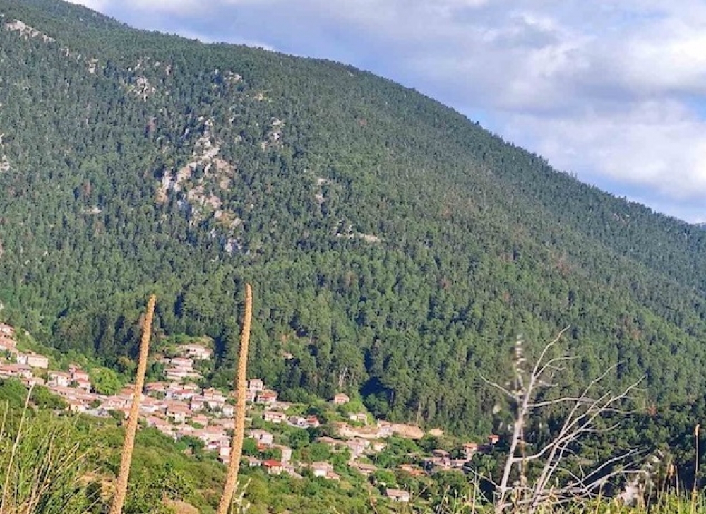 &Alpha;ί&sigma;&iota;&alpha; έ&kappa;&beta;&alpha;&sigma;&eta; &gamma;&iota;&alpha; &pi;&epsilon;&zeta;&omicron;&pi;ό&rho;&omicron; &pi;&omicron;&upsilon; &chi;ά&theta;&eta;&kappa;&epsilon; &sigma;&tau;&omicron;&nu; &Pi;ά&rho;&nu;&omega;&nu;&alpha;