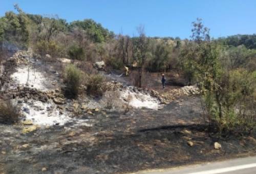 Πυρκαγιά στον Καρβελά Αν. Μάνης (ΦΩΤΟ)