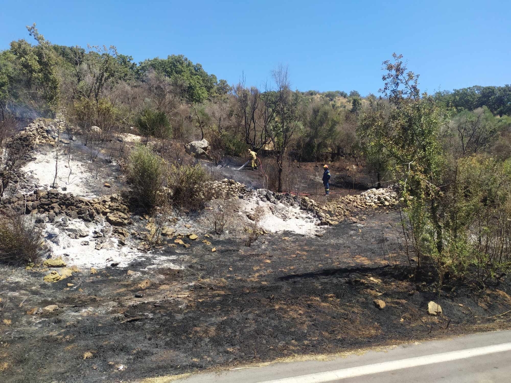 &Pi;&upsilon;&rho;&kappa;&alpha;&gamma;&iota;ά &sigma;&tau;&omicron;&nu; &Kappa;&alpha;&rho;&beta;&epsilon;&lambda;ά &Alpha;&nu;. &Mu;ά&nu;&eta;&sigmaf; (&Phi;&Omega;&Tau;&Omicron;)