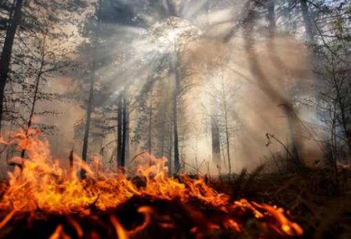 Τις υψηλότερες εκπομπές CO2 της 20ετίας προκάλεσαν οι πυρκαγιές στην Αρκτική