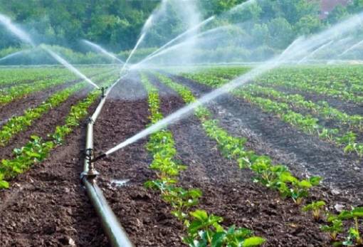 Επικαιροποίηση δικαιωμάτων χρήσης αρδευτικού δικτύου στον Δήμο Σπάρτης