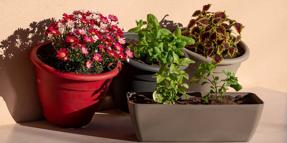 &Tau;&omicron; &lambda;ά&theta;&omicron;&sigmaf; &pi;&omicron;&upsilon; &kappa;ά&nu;&epsilon;&iota;&sigmaf; &kappa;&alpha;&iota; &laquo;&sigma;&kappa;&omicron;&tau;ώ&nu;&epsilon;&iota;&raquo; &tau;&alpha; &phi;&upsilon;&tau;ά &sigma;&omicron;&upsilon; &tau;&iota;&sigmaf; &eta;&mu;έ&rho;&epsilon;&sigmaf; &tau;&omicron;&upsilon; &kappa;&alpha;ύ&sigma;&omega;&nu;&alpha;