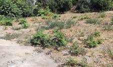 Το δικό σας σχόλιο: Πρόταση για τη δύσκολη εξίσωση του πάρκινγκ στο Γύθειο