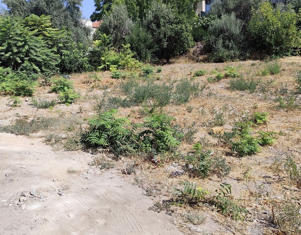 &Tau;&omicron; &delta;&iota;&kappa;ό &sigma;&alpha;&sigmaf; &sigma;&chi;ό&lambda;&iota;&omicron;: &Pi;&rho;ό&tau;&alpha;&sigma;&eta; &gamma;&iota;&alpha; &tau;&eta; &delta;ύ&sigma;&kappa;&omicron;&lambda;&eta; &epsilon;&xi;ί&sigma;&omega;&sigma;&eta; &tau;&omicron;&upsilon; &pi;ά&rho;&kappa;&iota;&nu;&gamma;&kappa; &sigma;&tau;&omicron; &Gamma;ύ&theta;&epsilon;&iota;&omicron;