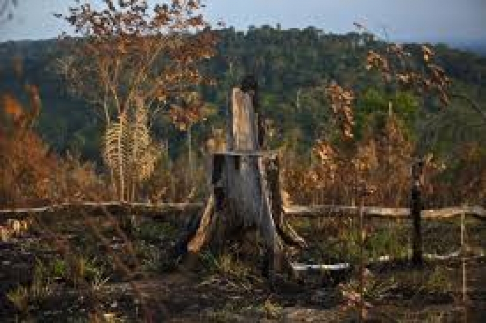 &Beta;&rho;&epsilon;&tau;&alpha;&nu;ί&alpha;: &Alpha;&pi;&alpha;&gamma;ό&rho;&epsilon;&upsilon;&sigma;&eta; &pi;ώ&lambda;&eta;&sigma;&eta;&sigmaf; &pi;&rho;&omicron;ϊό&nu;&tau;&omega;&nu; &alpha;&pi;ό &alpha;&pi;&omicron;&psi;&iota;&lambda;&omega;&mu;έ&nu;&alpha; &delta;ά&sigma;&eta;